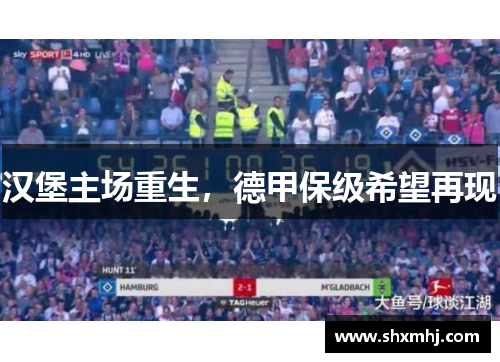 汉堡主场重生，德甲保级希望再现