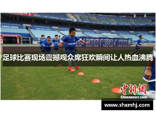 足球比赛现场震撼观众席狂欢瞬间让人热血沸腾
