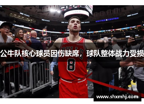 公牛队核心球员因伤缺席，球队整体战力受损
