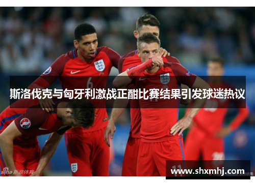 斯洛伐克与匈牙利激战正酣比赛结果引发球迷热议
